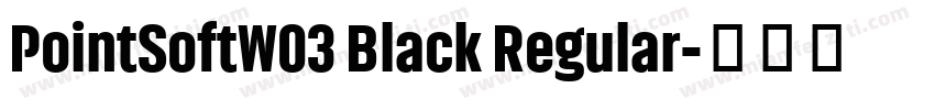 PointSoftW03 Black Regular字体转换